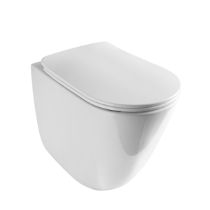 BTW wc 55×36 cm