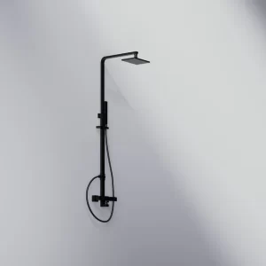 Shower set
