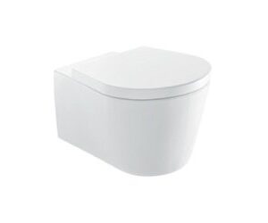 Wall-mounted rimless toilet 53