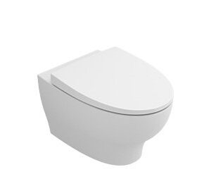 Wall-mounted rimless toilet 54